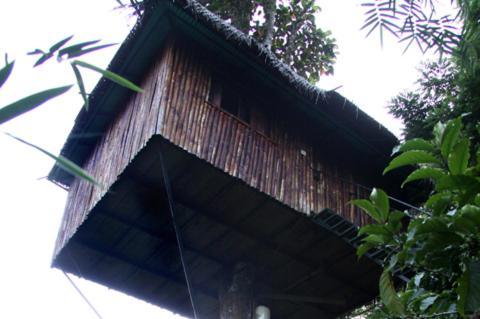 Coffee Acres Plantation Resort Kalpatta Rom bilde